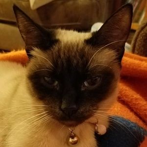 Meet your Posher, Tammy